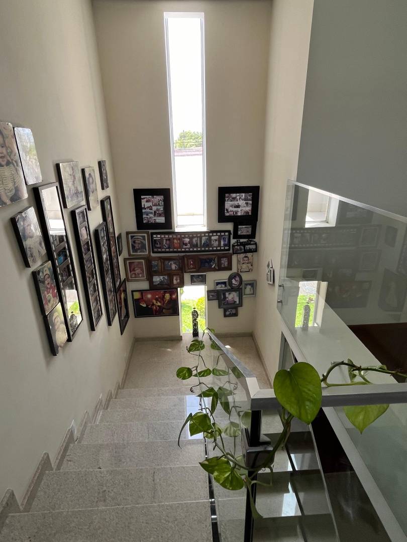 Casa, 5 quartos, 312 m² - Foto 25