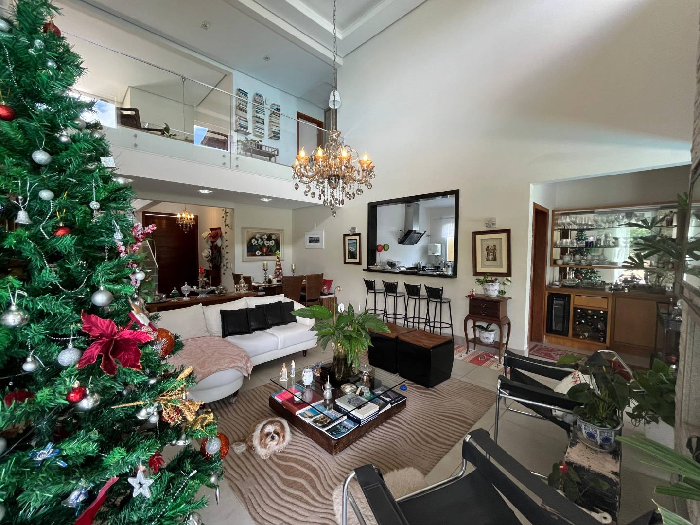 Casa, 5 quartos, 312 m² - Foto 1