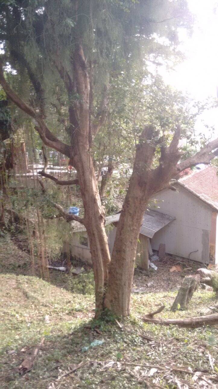 Terreno 2506,00 m² no centro de Florianópolis