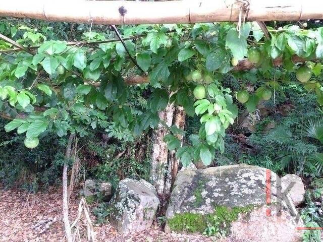 Terreno para Venda em Florianópolis - 4