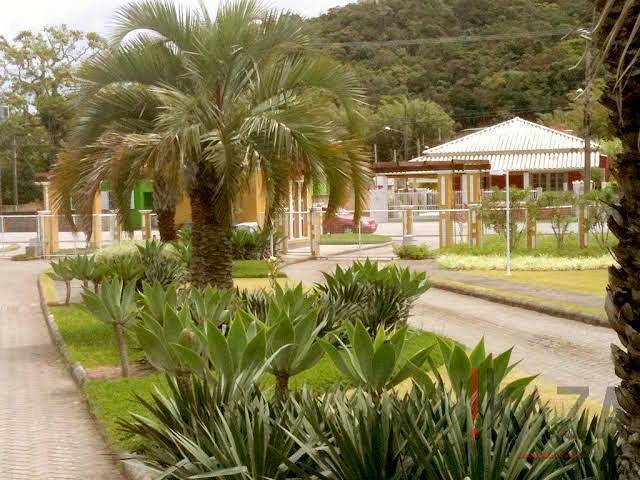 Terreno para Venda em Florianópolis - 4
