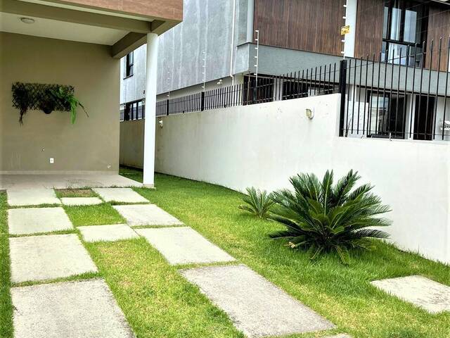 Casa para Locação em Florianópolis - 4
