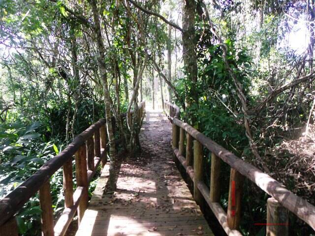 Terreno para Venda em Florianópolis - 4