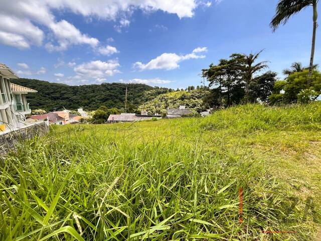 Terreno para Venda em São José - 4