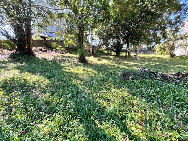 Terreno para Venda em São José - 5