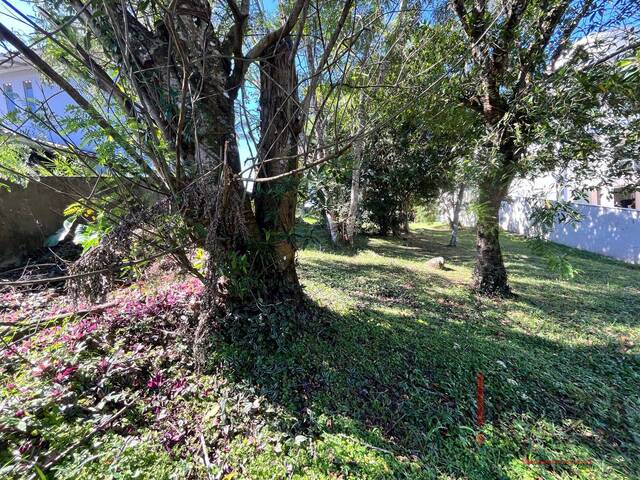 Terreno para Venda em São José - 4
