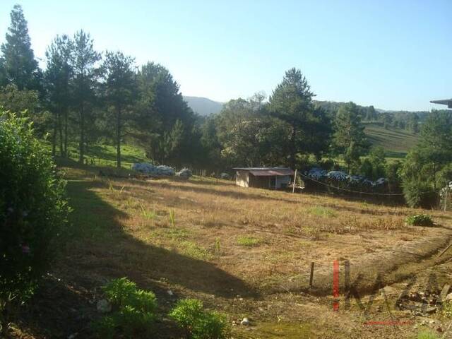 Terreno para Venda em Rancho Queimado - 1