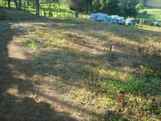 #2271 - Terreno para Venda em Rancho Queimado - SC - 2