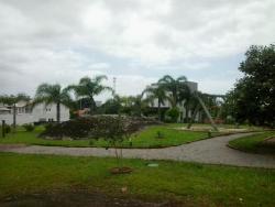 Terreno para Venda em Florianópolis - 4