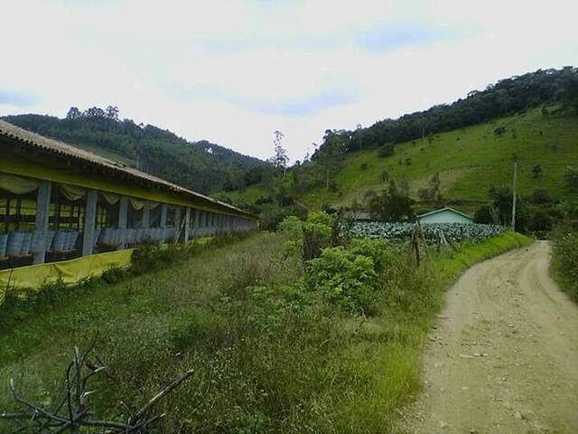 Área para Venda em Anitápolis - 4