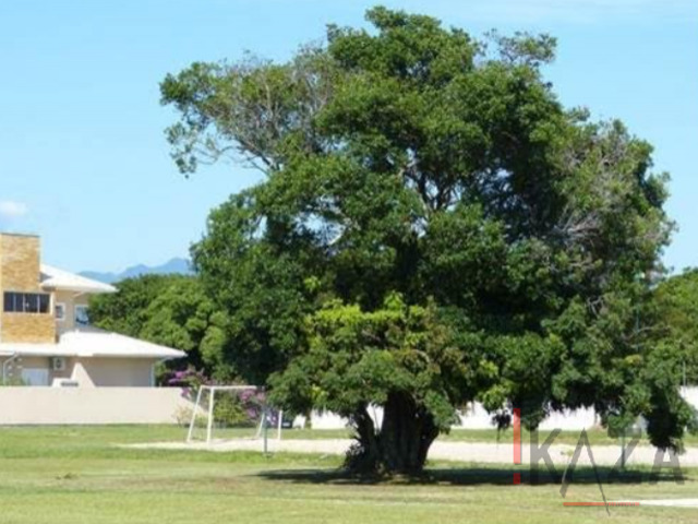 Terreno para Venda em Florianópolis - 4